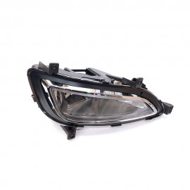 Grandeur HG fog lamps

