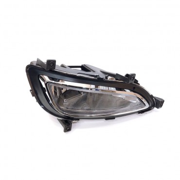 Grandeur HG fog lamps

